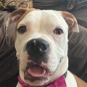 Meet your Posher, Johnny